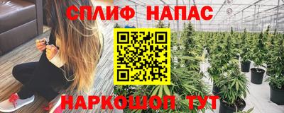 молекула духа Тара