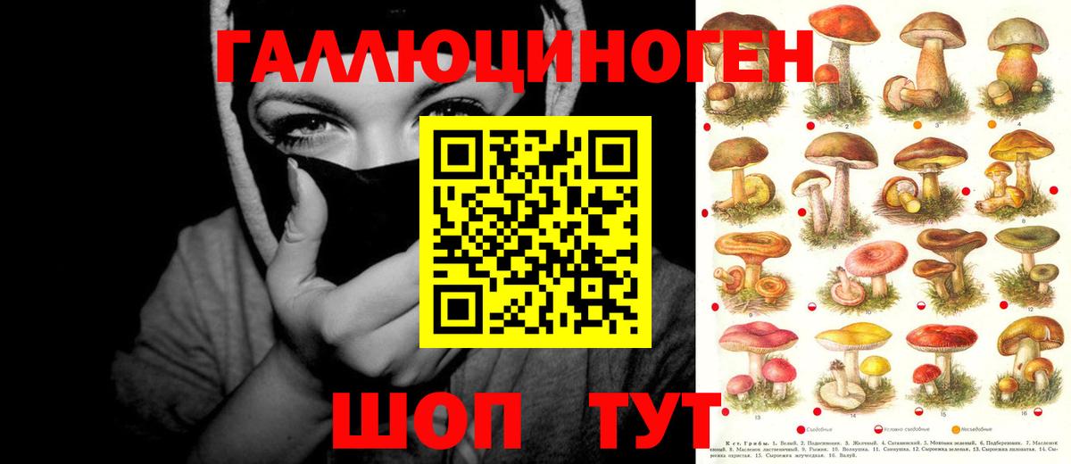 Галлюциногенные грибы ЛСД Новотроицк