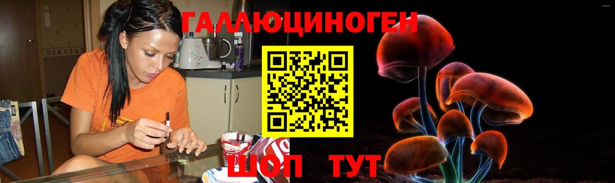 Новотроицк  Псилоцибиновые грибы Psilocybine cubensis  Вход с VPN 